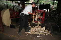 Manually extracting the sugar