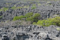 Limestone tsingy