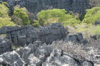 Limestone tsingy