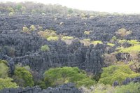 Limestone tsingy