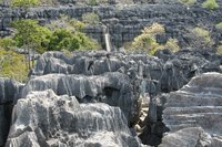 Limestone tsingy