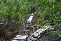 Path damaged by cyclone