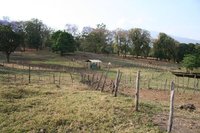 The pipeline has to go across this field to the local water supply.