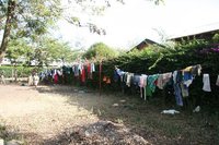 Lots of washing!