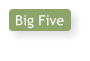 Big Five