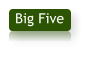 Big Five