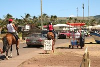 Horses - local transport
