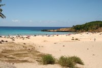 Anakena beach in the north