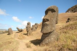 Moai at Ranu Raraku quarry