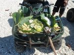 Snacks on the quad bike